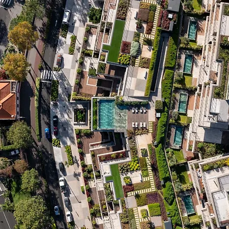 Savoy Monumentalis X By An Island *